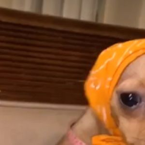 Meet your Posher, Malakai